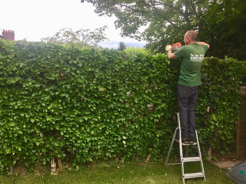 About Us Lawn Rangers Garden Services